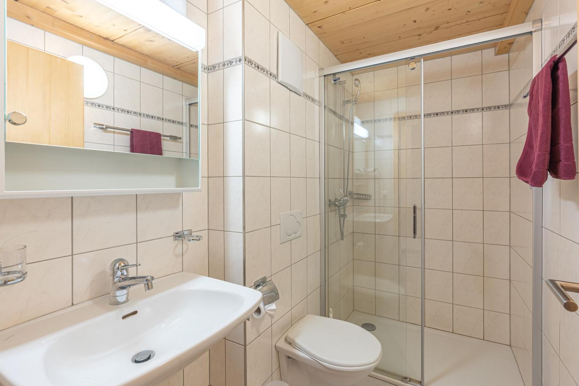 Apartment Appartmenthaus Bergfreund Fiesch