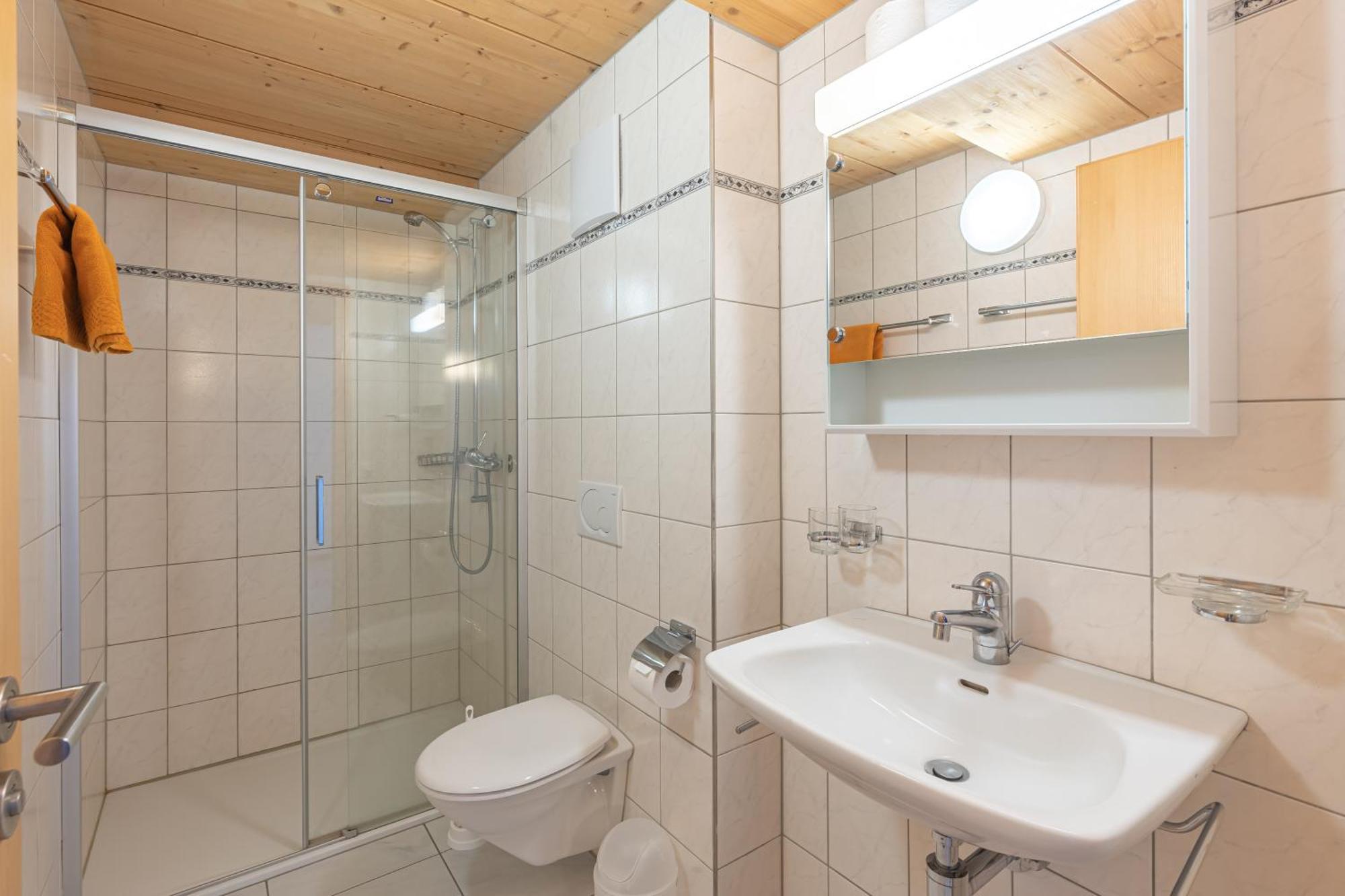 Apartment Appartmenthaus Bergfreund Fiesch