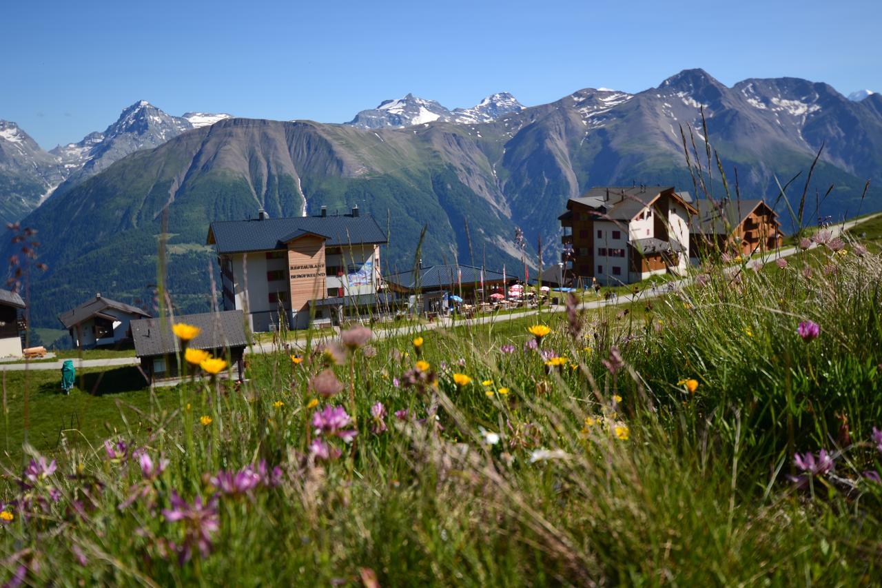 Appartmenthaus Bergfreund Apartment *